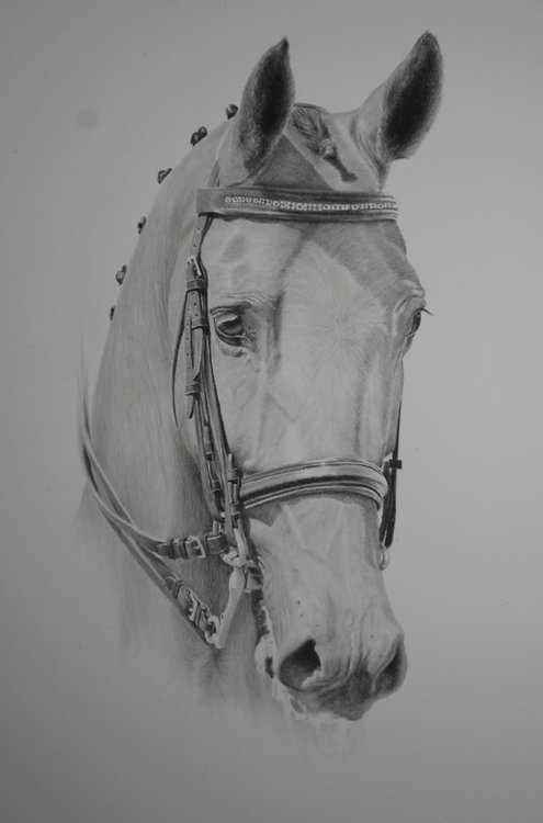 Original artwork by Canadian artist Henri de Groot