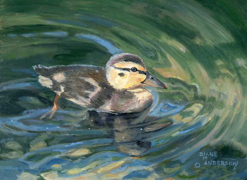 Just Cruising Original Artwork by Artists On Tour Canadian visual artist Diane M Anderson