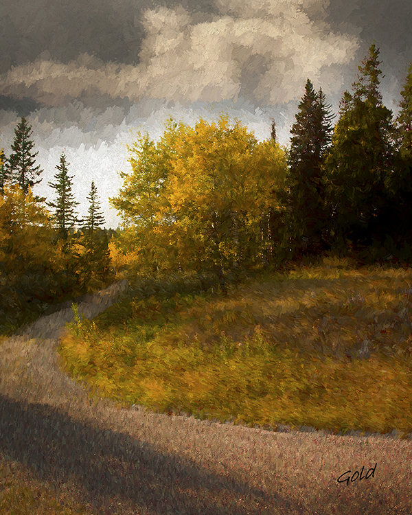 Original Photographs by Master photographer Peter Gold from Arts In Bragg Creek