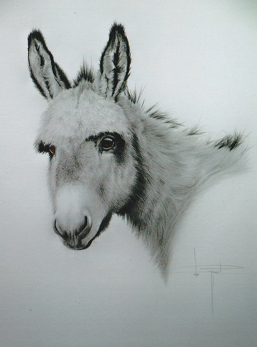 Original artwork by Artists On Tour Canadian artist Henri de Groot