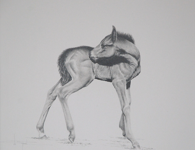 Original artwork by Artists On Tour Canadian artist Henri de Groot