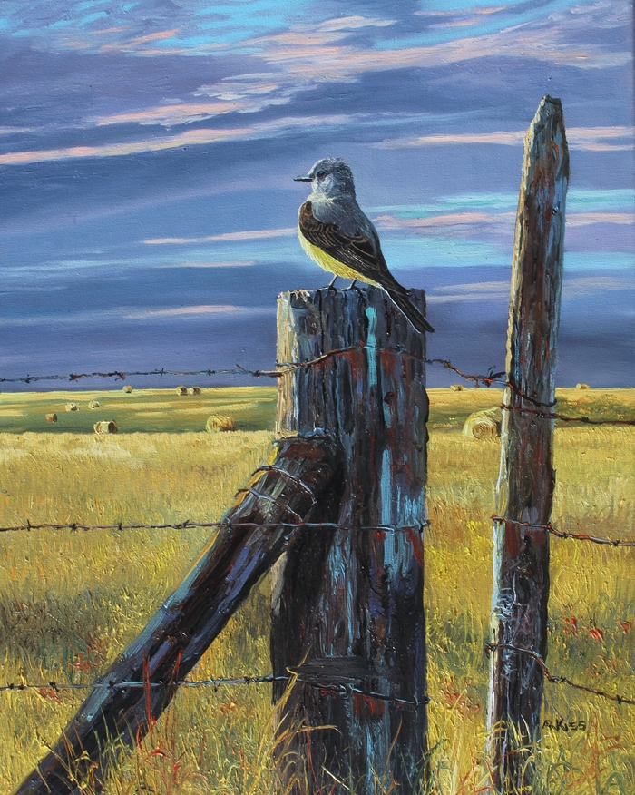Kingbird Original Painting by Artists On Tour Artist Andrew Kiss