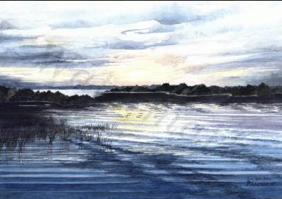 Artwork by Patricia Johansen of PJ Illustrations Arts In Bragg Creek