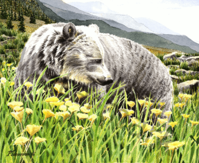 Artwork by Patricia Johansen of PJ Illustrations Arts In Bragg Creek