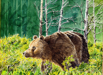 Artwork by Patricia Johansen of PJ Illustrations Arts In Bragg Creek